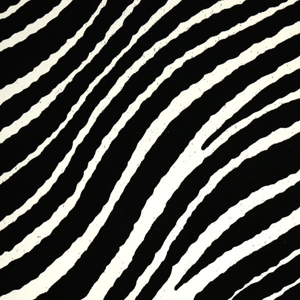 zebra stripes background