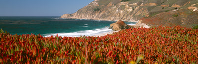 Big Sur at Dusk Photographic Mural