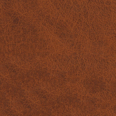 Leather Contact Paper - Gold Havana