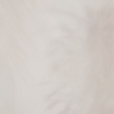 Ghost Palm Wallpaper - Cream