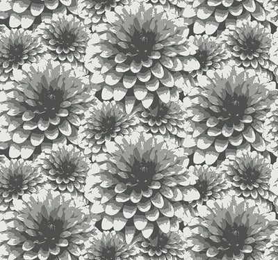 Umbra Charcoal Floral Wallpaper