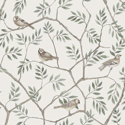 Crossbill Off-White Branches Wallpaper