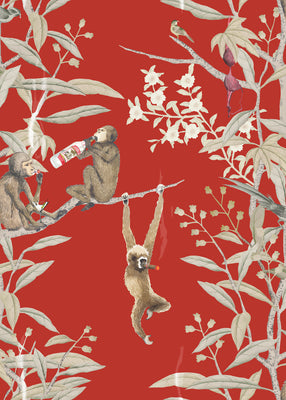 Drunk Monkeys Wallpaper - Sangria