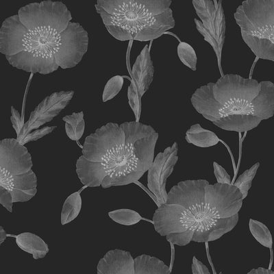 Papaver Wallpaper - Charcoal