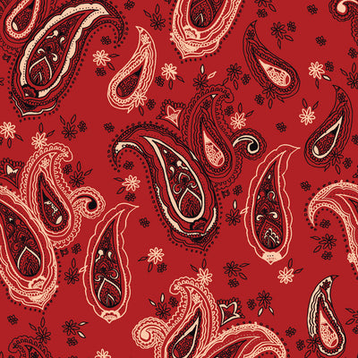 Paisley Wallpaper - Bandana