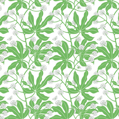 Fatsia Wallpaper - Apple