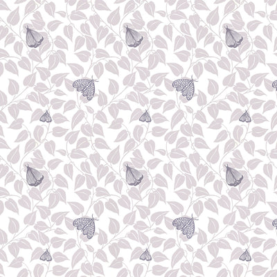 Summer Moth Wallpaper - Grey