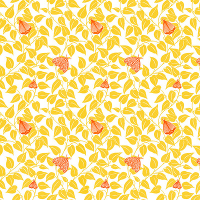 Summer Moth Wallpaper - Sunshine