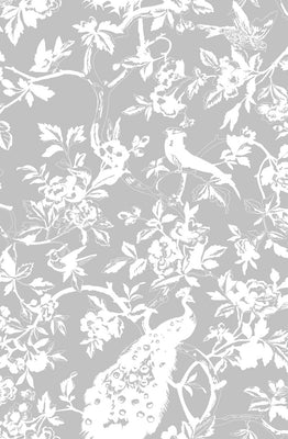 Peacock Wallpaper - Grey