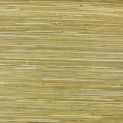 Khaki Grasscloth Wallpaper