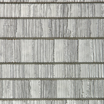 Silver Banana Bark Wallpaper