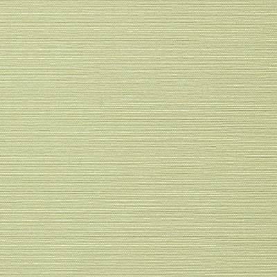 Taluk Sisal Wallpaper - Willow