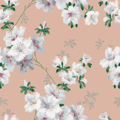 400+] Spring Flowers Wallpapers