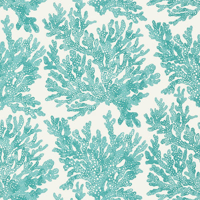 turquoise and coral background